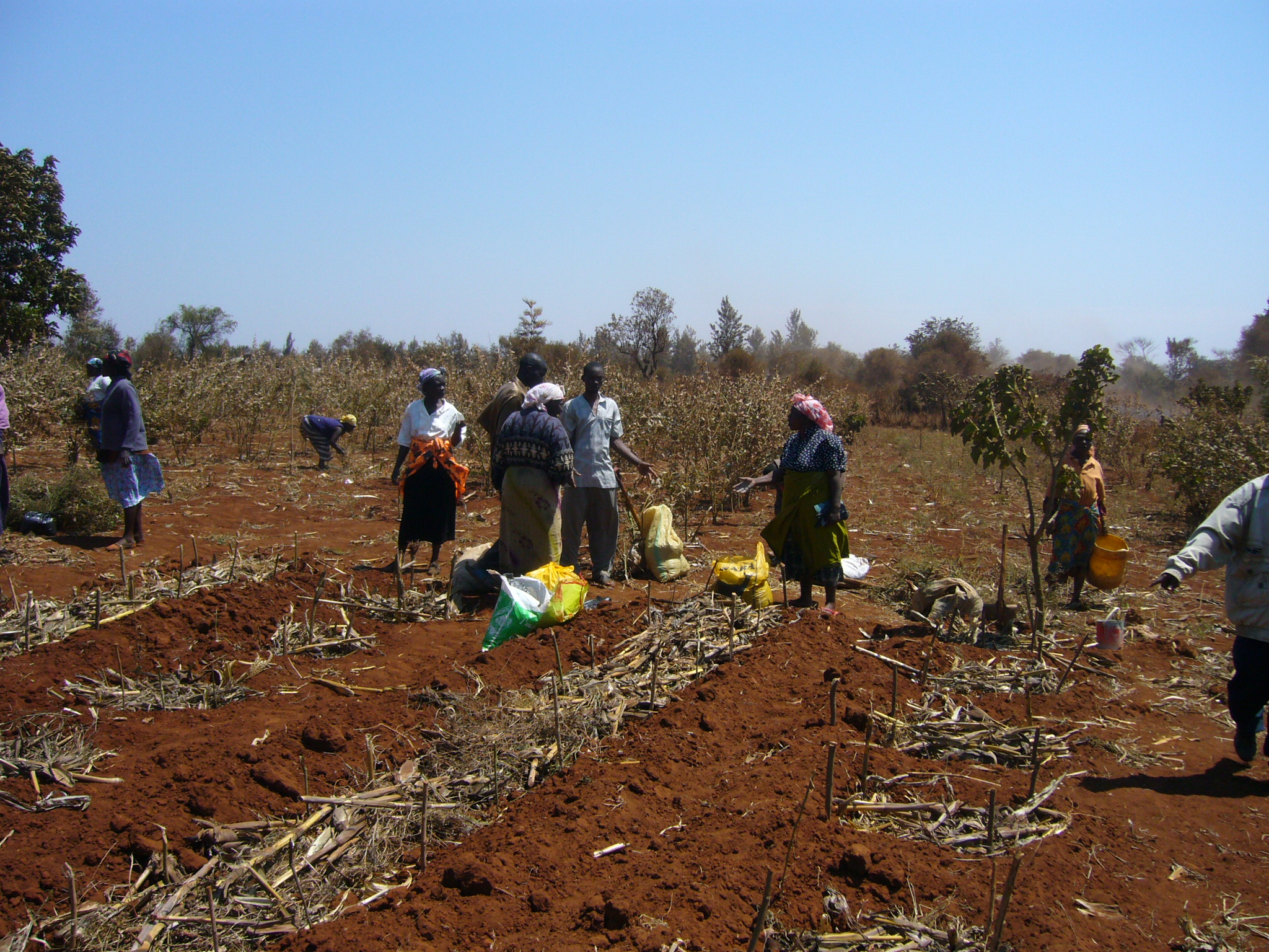02 - 2010 - Cours d'Agriculture Biologique 07