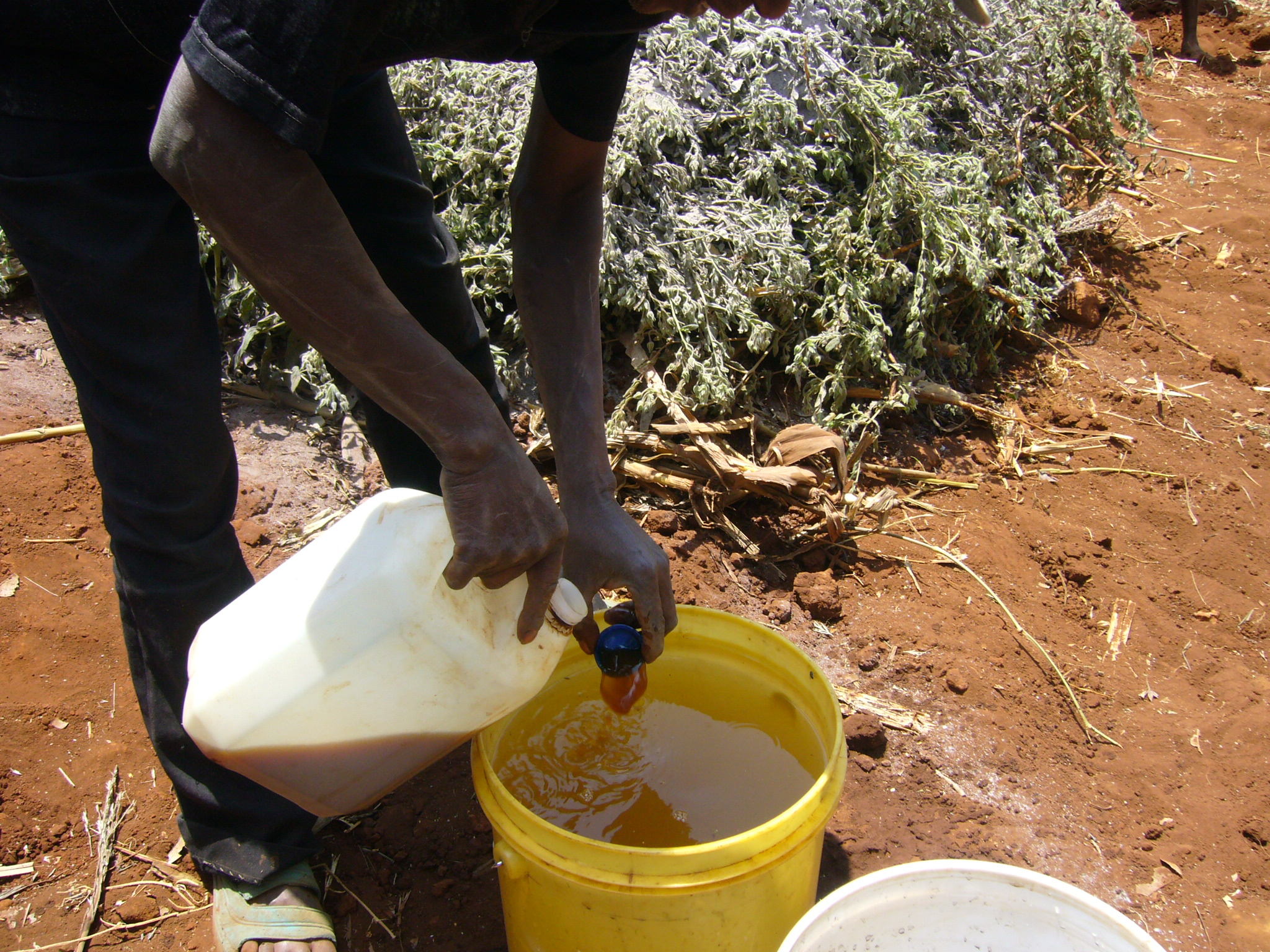 02 - 2010 - Cours d'Agriculture Biologique 10
