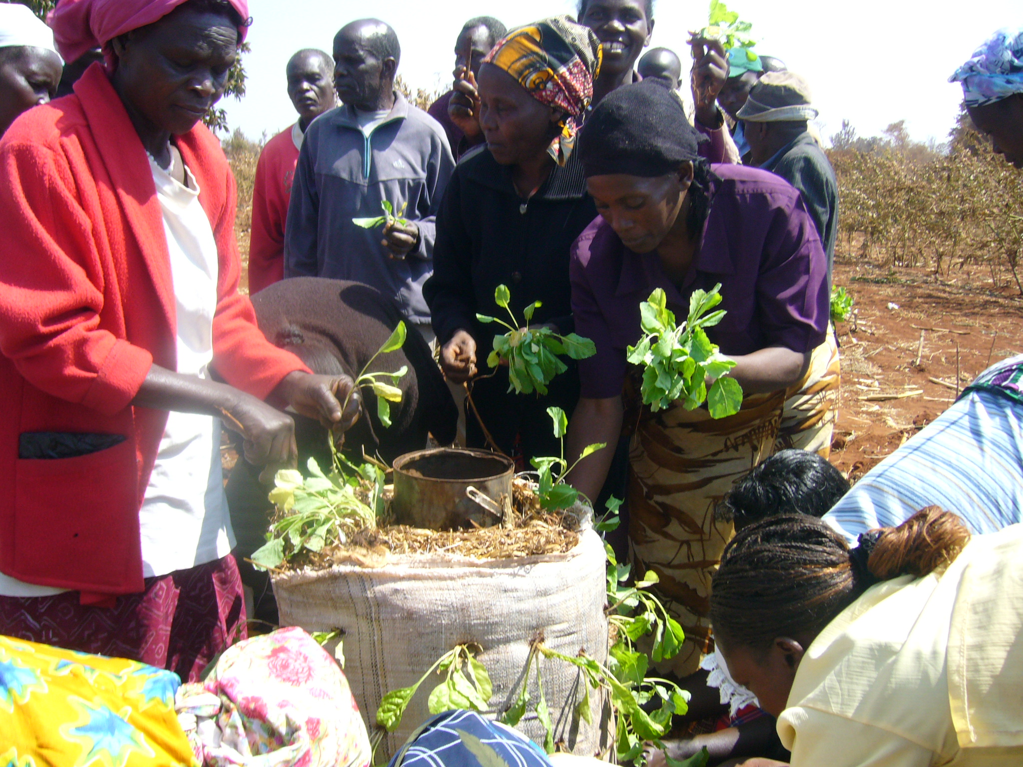 02 - 2010 - Cours d'Agriculture Biologique 13